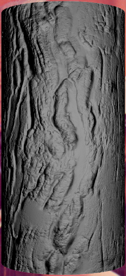 Tree trunk with bump map